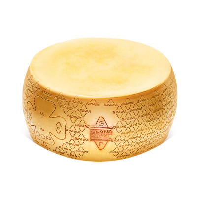 Grana Padano DOP Wheel over 15 months Ambrosi