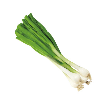 Spring onion