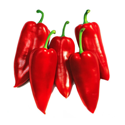 Red capia pepper