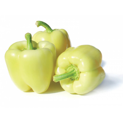 Bell Pepper