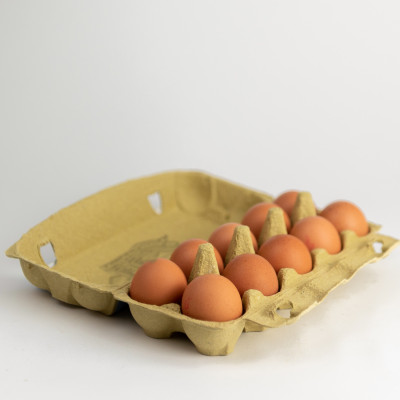 Eggs Fresh 'Xl' class 10/1 Martinici