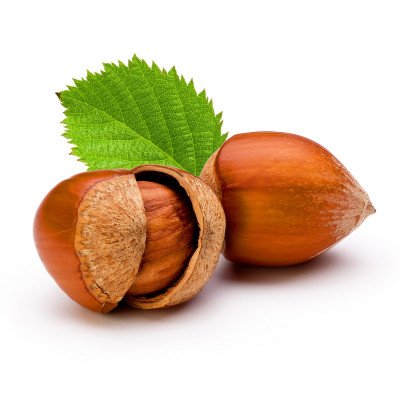 Hazelnut kernel 300 g